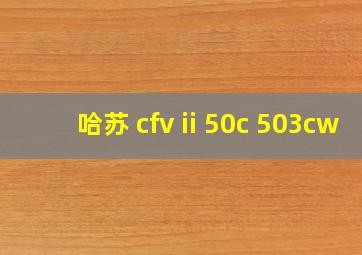 哈苏 cfv ii 50c 503cw